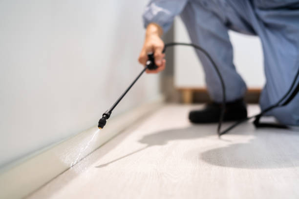 Certified termite inspector examining foundation in Dove Valley