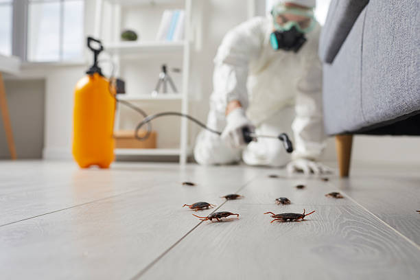 Commercial Rodent Management in Dove Valley